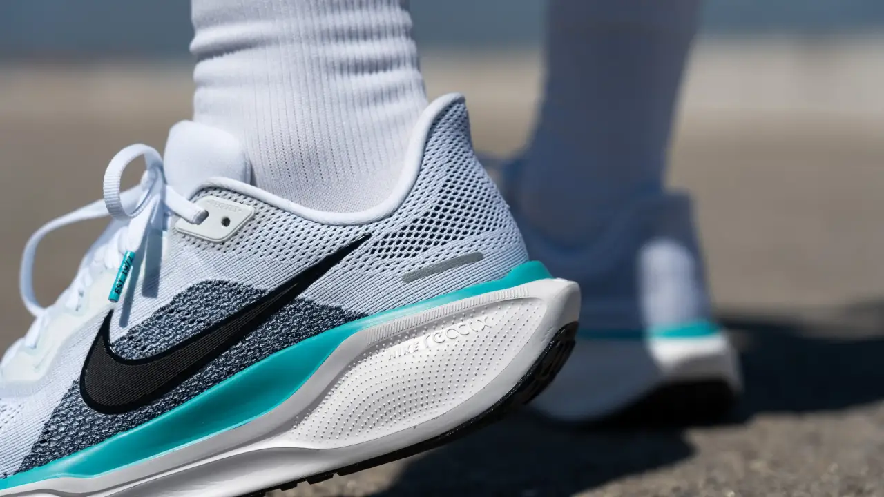 nike pegasus 41