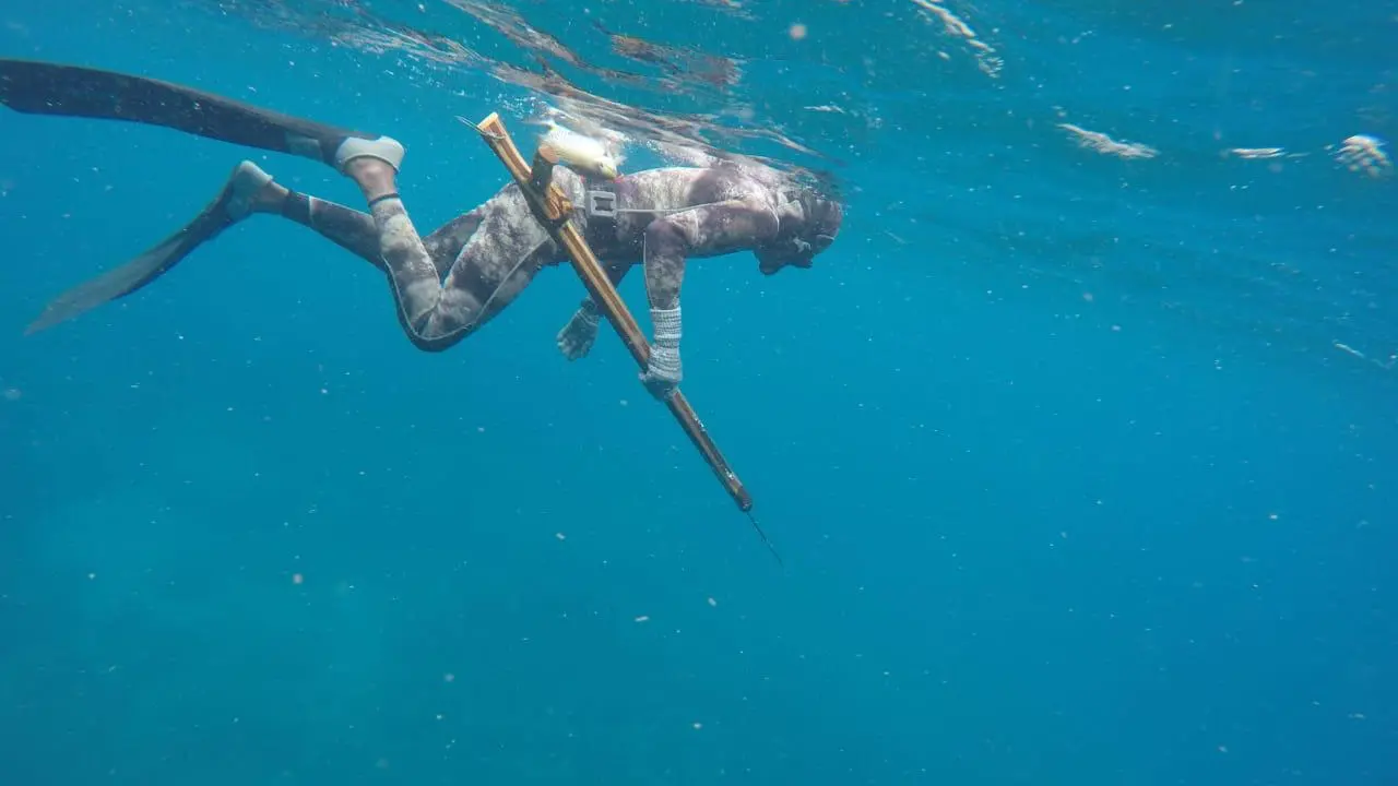 Memperkenalkan Spearfishing Tradisional di Bajo Mola, Sulawesi