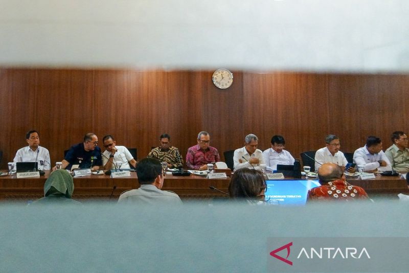 Pemerintah Siapkan 481 Ribu Hektare Lahan untuk Swasembada