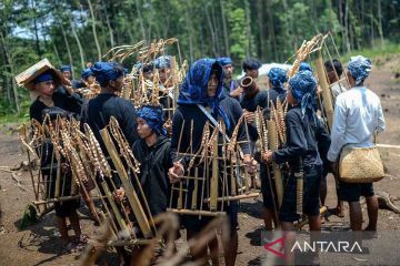 Tradisi Ngaseuk Suku Badui Sambut Musim Tanam Padi Gogo