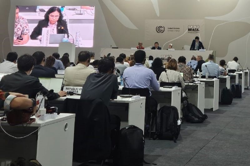 Kemenhut Usulkan Aturan Pasar Karbon yang Adil di COP30