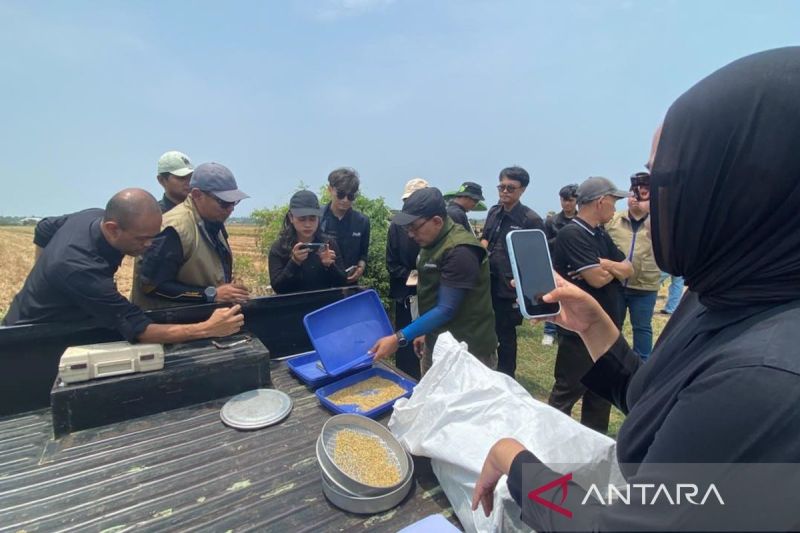 Bulog Sukses Serap 4 Juta Ton Beras Berkat Sinergi Tim
